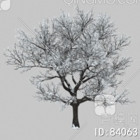冬天树3D模型下载【ID:84063】