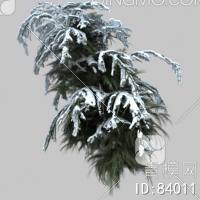 冬天树3D模型下载【ID:84011】