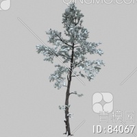 冬天树3D模型下载【ID:84067】