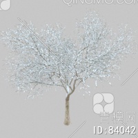 冬天树3D模型下载【ID:84042】