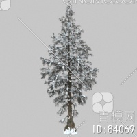 冬天树3D模型下载【ID:84069】
