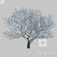 冬天树3D模型下载【ID:84065】