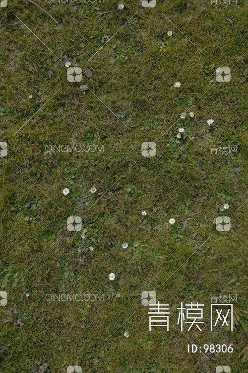 grassgrassgrass_7686贴图下载【ID:98306】