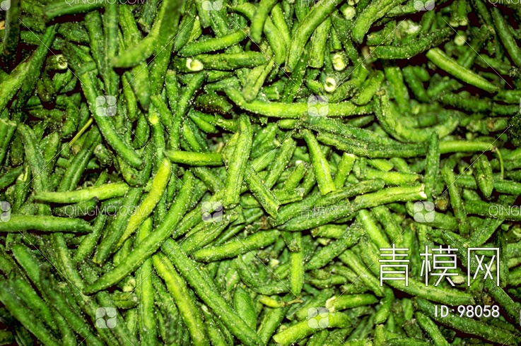 肌理生物理植堆景堆景 (169)贴图下载【ID:98058】