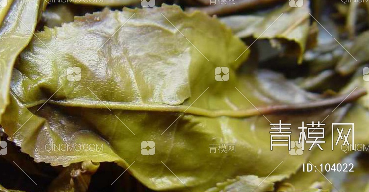 肌理生物理植样纹植样纹贴图下载【ID:104022】