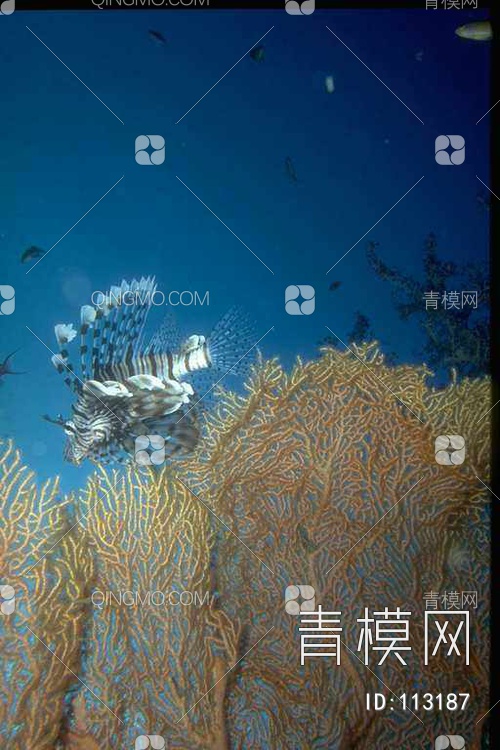 水族箱贴图贴图下载【ID:113187】