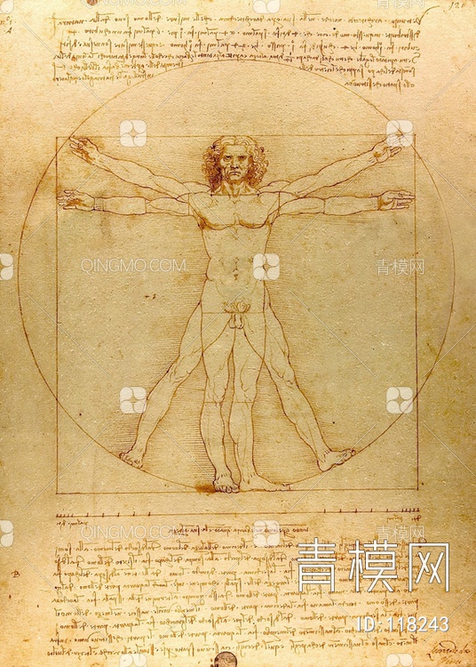 达芬奇维特鲁威人贴图下载【ID:118243】
