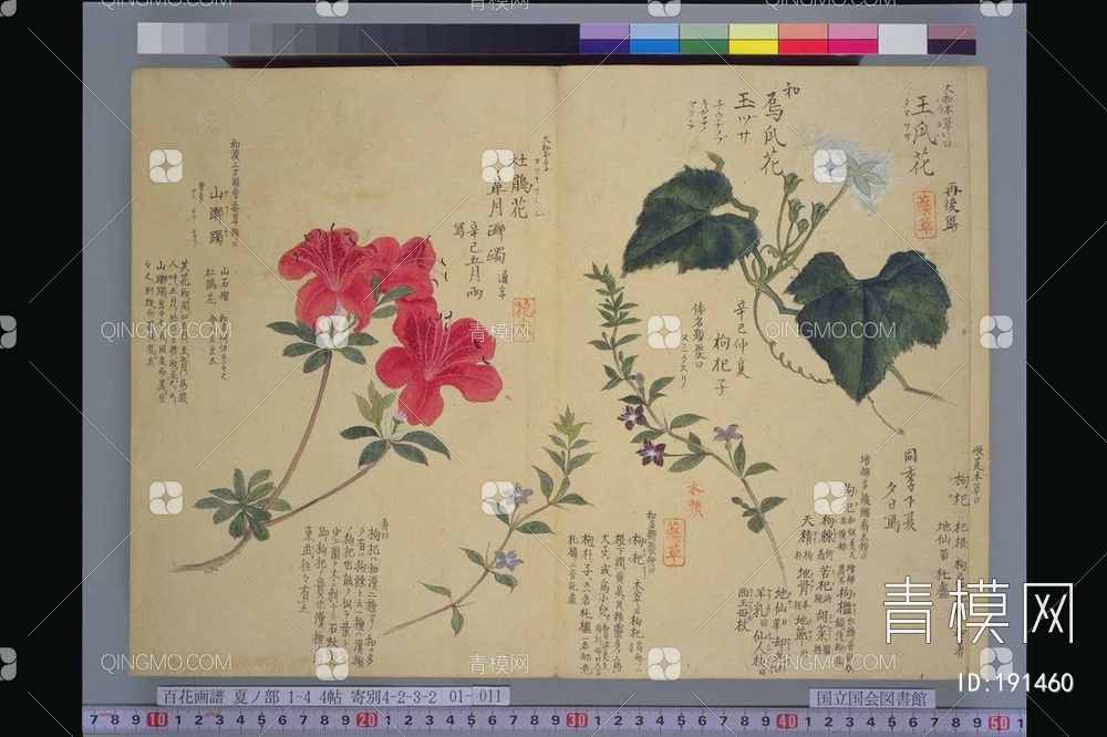 花鸟装饰画贴图下载【ID:191460】