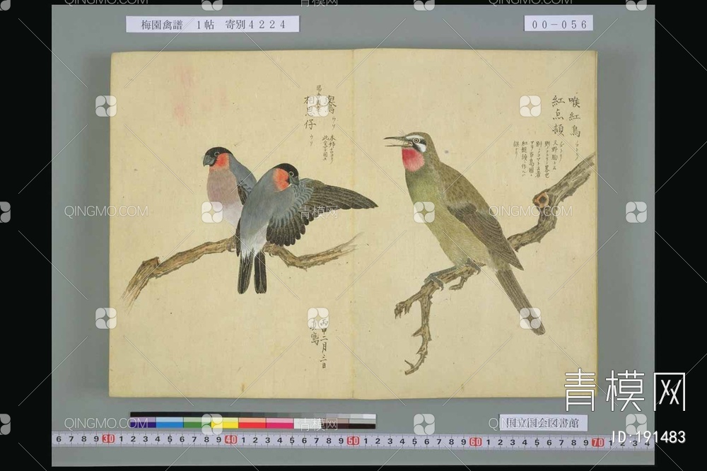 花鸟装饰画贴图下载【ID:191483】