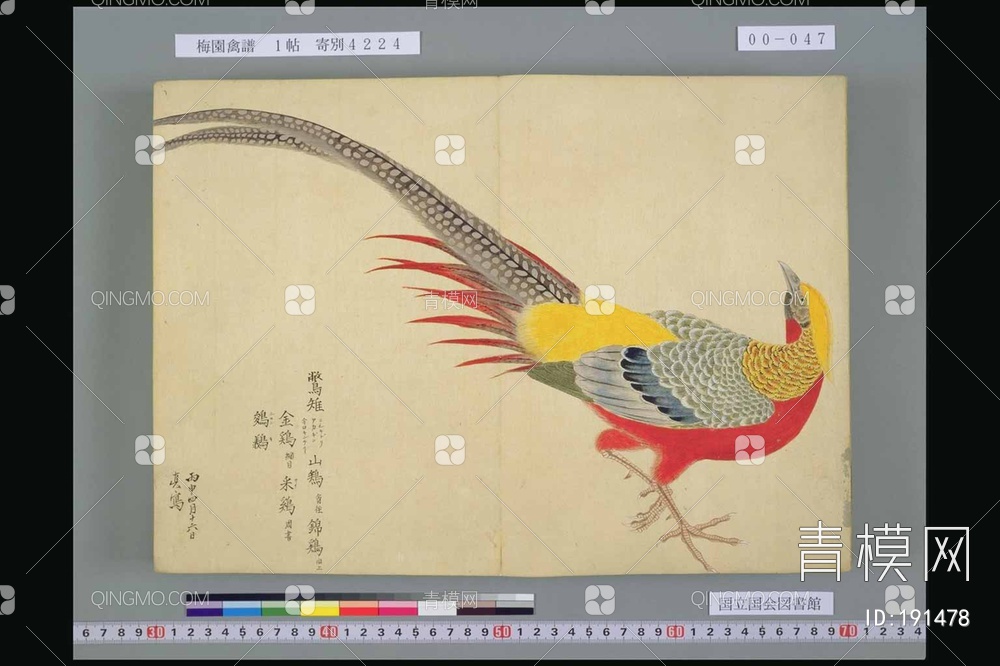 花鸟装饰画贴图下载【ID:191478】