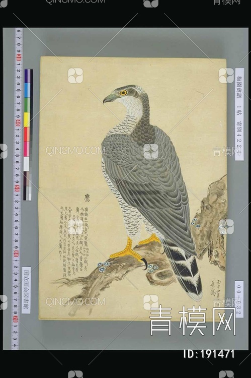 花鸟装饰画贴图下载【ID:191471】