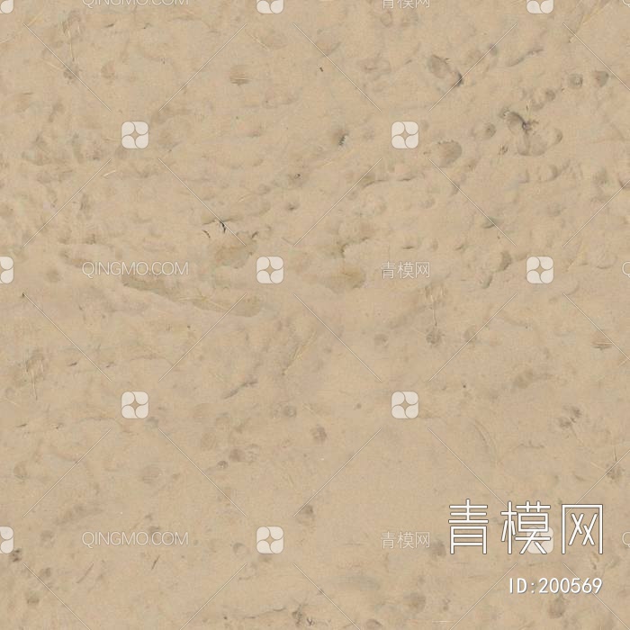 海滩地面贴图下载【ID:200569】