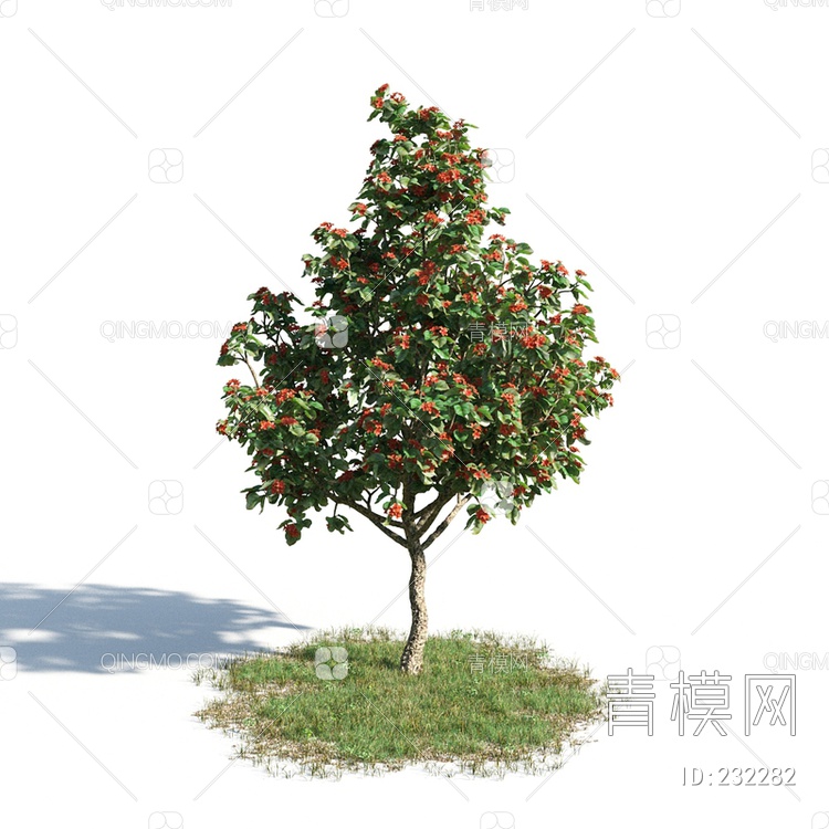 2017年款植物树木3D模型下载【ID:232282】