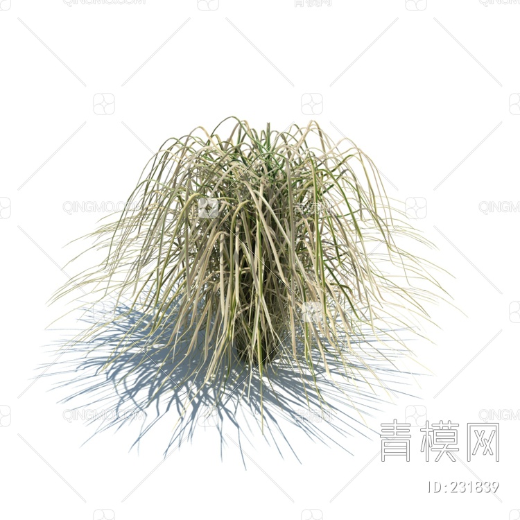 2017年款草地植物3D模型下载【ID:231839】