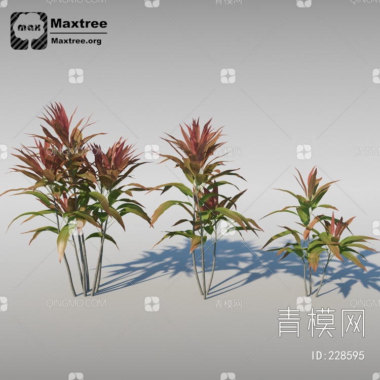 朱蕉3D模型下载【ID:228595】