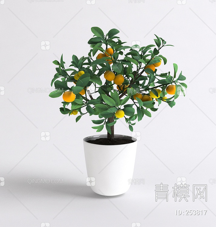 室内花盆3D模型下载【ID:253817】