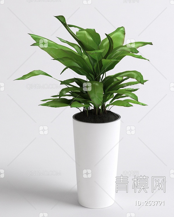 2017年款室内植物3D模型下载【ID:253791】