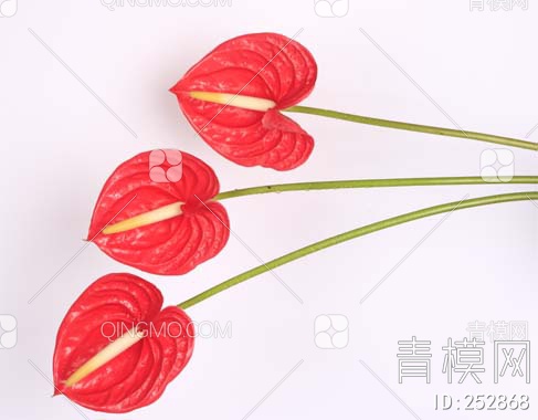 风景花卉壁画贴图下载【ID:252868】