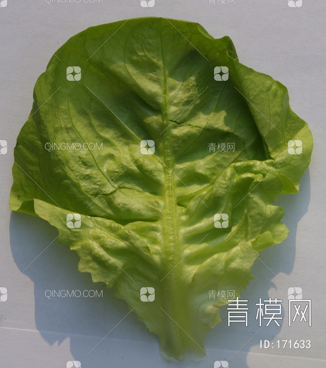 素菜贴图下载【ID:171633】