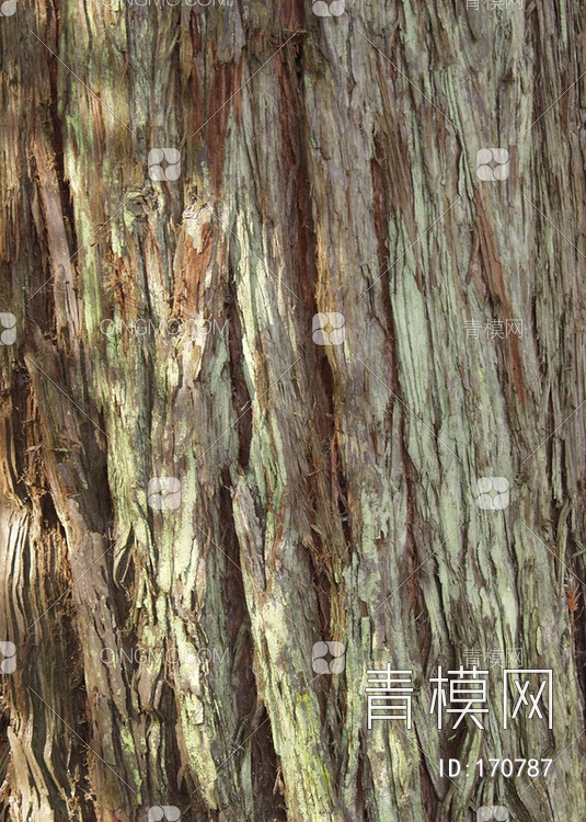 树干松树贴图下载【ID:170787】