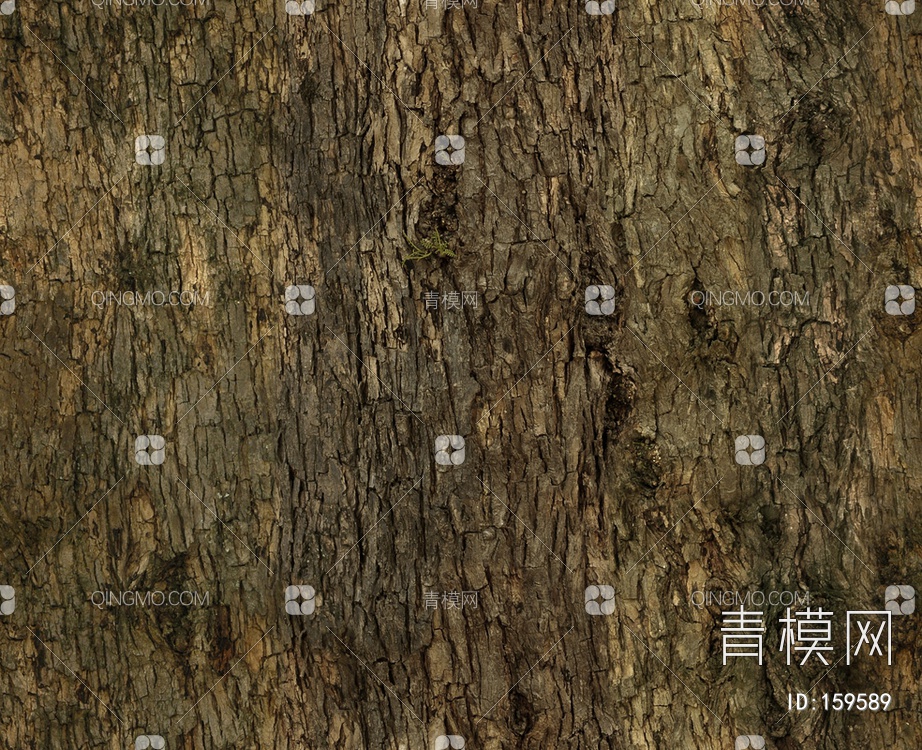 树干树皮贴图下载【ID:159589】