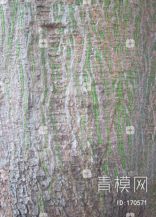 树干树皮贴图下载【ID:170571】