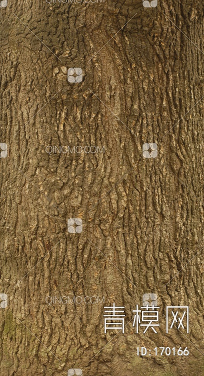 树干树皮贴图下载【ID:170166】