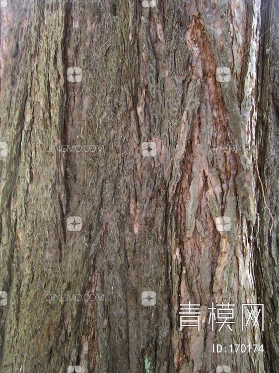树干树皮贴图下载【ID:170174】
