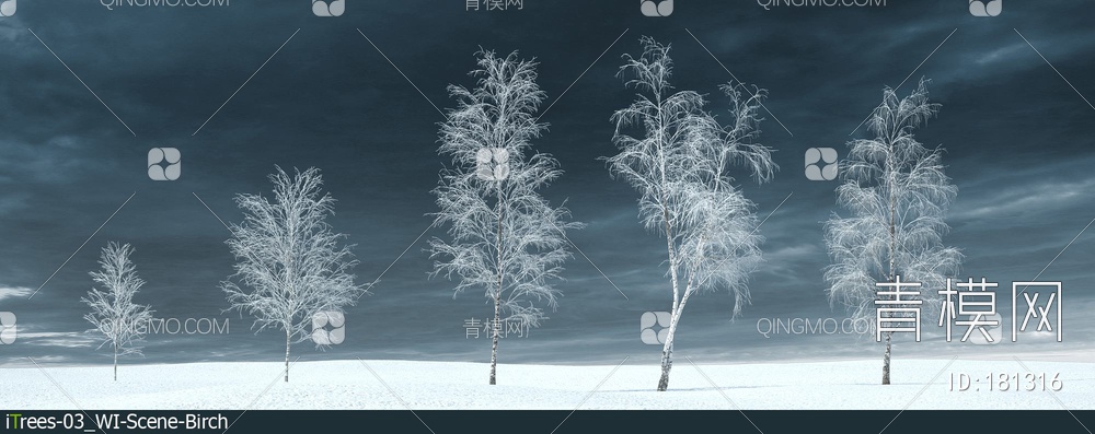 冬天的桦树3D模型下载【ID:181316】