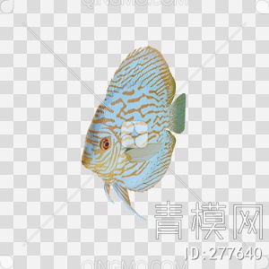 鱼3D模型下载【ID:277640】