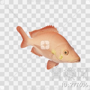 鱼3D模型下载【ID:277606】