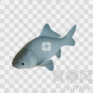 鱼3D模型下载【ID:277612】