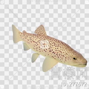 鱼3D模型下载【ID:277672】