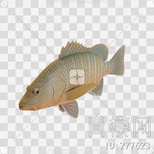 鱼3D模型下载【ID:277623】