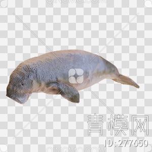 海狮3D模型下载【ID:277650】