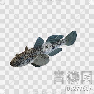 鱼3D模型下载【ID:277607】