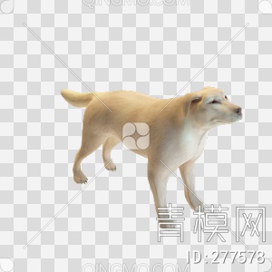 狗3D模型下载【ID:277578】