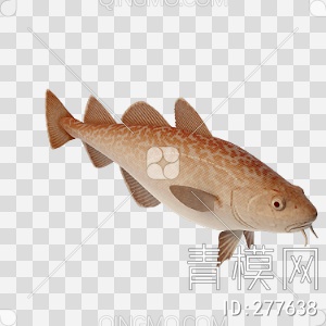 鱼3D模型下载【ID:277638】