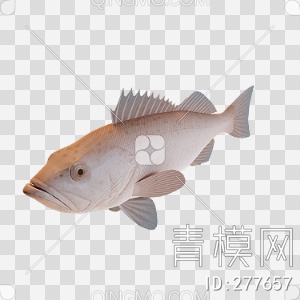 鱼3D模型下载【ID:277657】