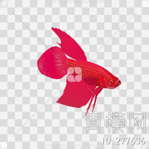 金鱼3D模型下载【ID:277636】