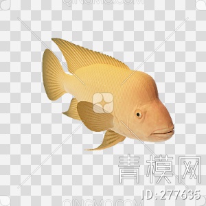 鱼3D模型下载【ID:277635】