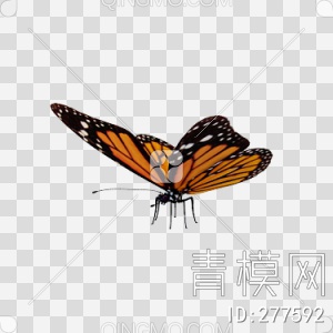 蝴蝶3D模型下载【ID:277592】
