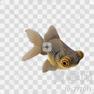 金鱼3D模型下载【ID:277611】