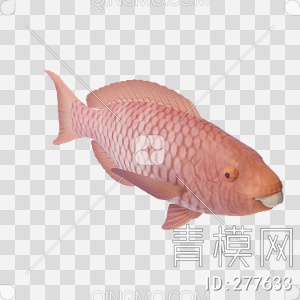 鱼3D模型下载【ID:277633】
