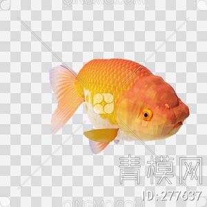 金鱼3D模型下载【ID:277637】