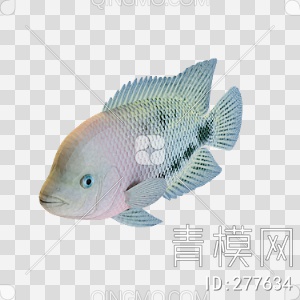 鱼3D模型下载【ID:277634】