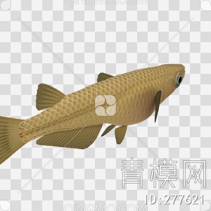 鱼3D模型下载【ID:277621】
