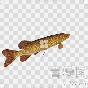 鱼3D模型下载【ID:277615】