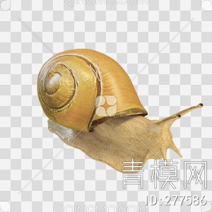 蜗牛3D模型下载【ID:277586】