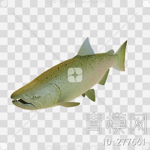 鱼3D模型下载【ID:277661】